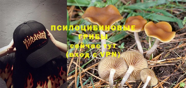 хмурый Протвино