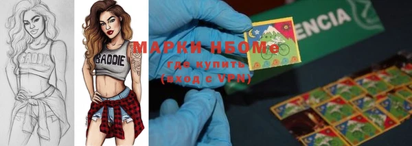 хмурый Протвино