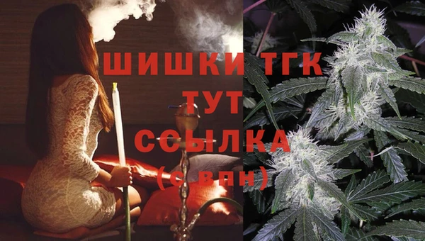 мяу мяу мука Пролетарск
