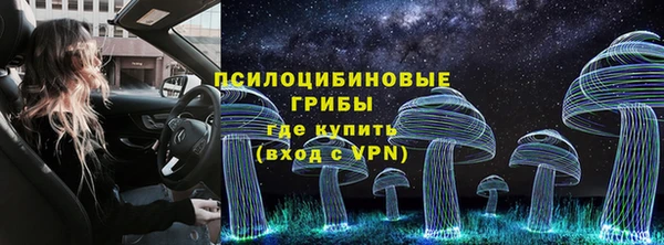 хмурый Протвино