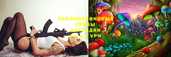хмурый Протвино