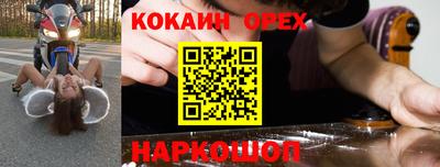 гашик Шелехов