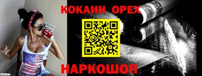 гашик Шелехов