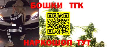 гашик Шелехов