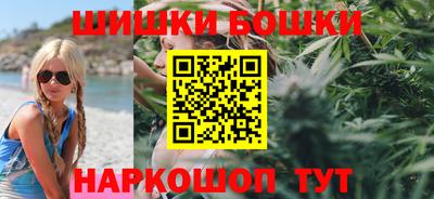 гашик Шелехов