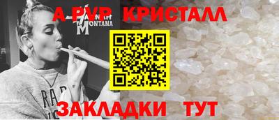гашик Шелехов