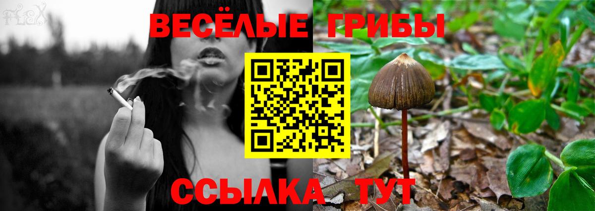 Галлюциногенные грибы прущие грибы Тутаев