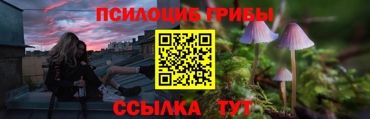 Псилоцибиновые грибы Psilocybe  Галлюциногенные грибы Cubensis  купить наркотики сайты  Вход с VPN  Тутаев 